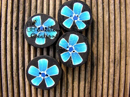 boutons_fleurs_bleues