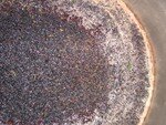 Vendanges_Aloha_06_026