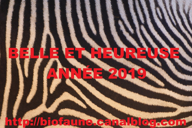 VOEUX BIOFAUNE 2019