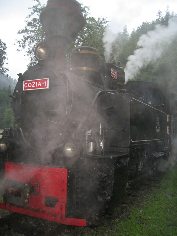 Train vapeur de Viseu de Jos