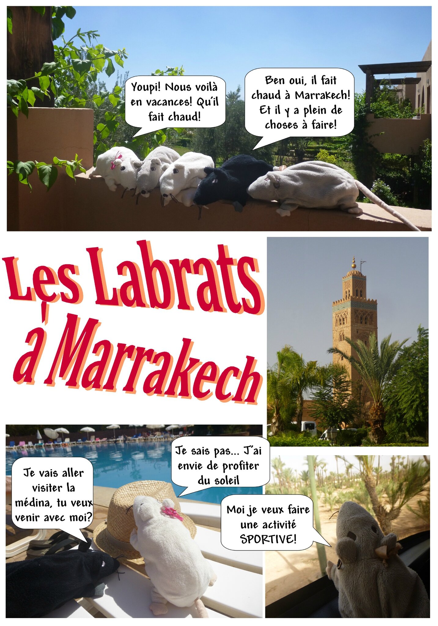 MarrakechF1