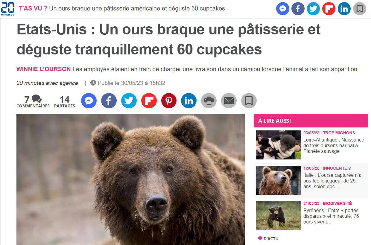 Une petite sucrerie
