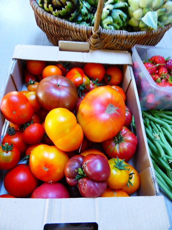 24-tomates du jour (3)