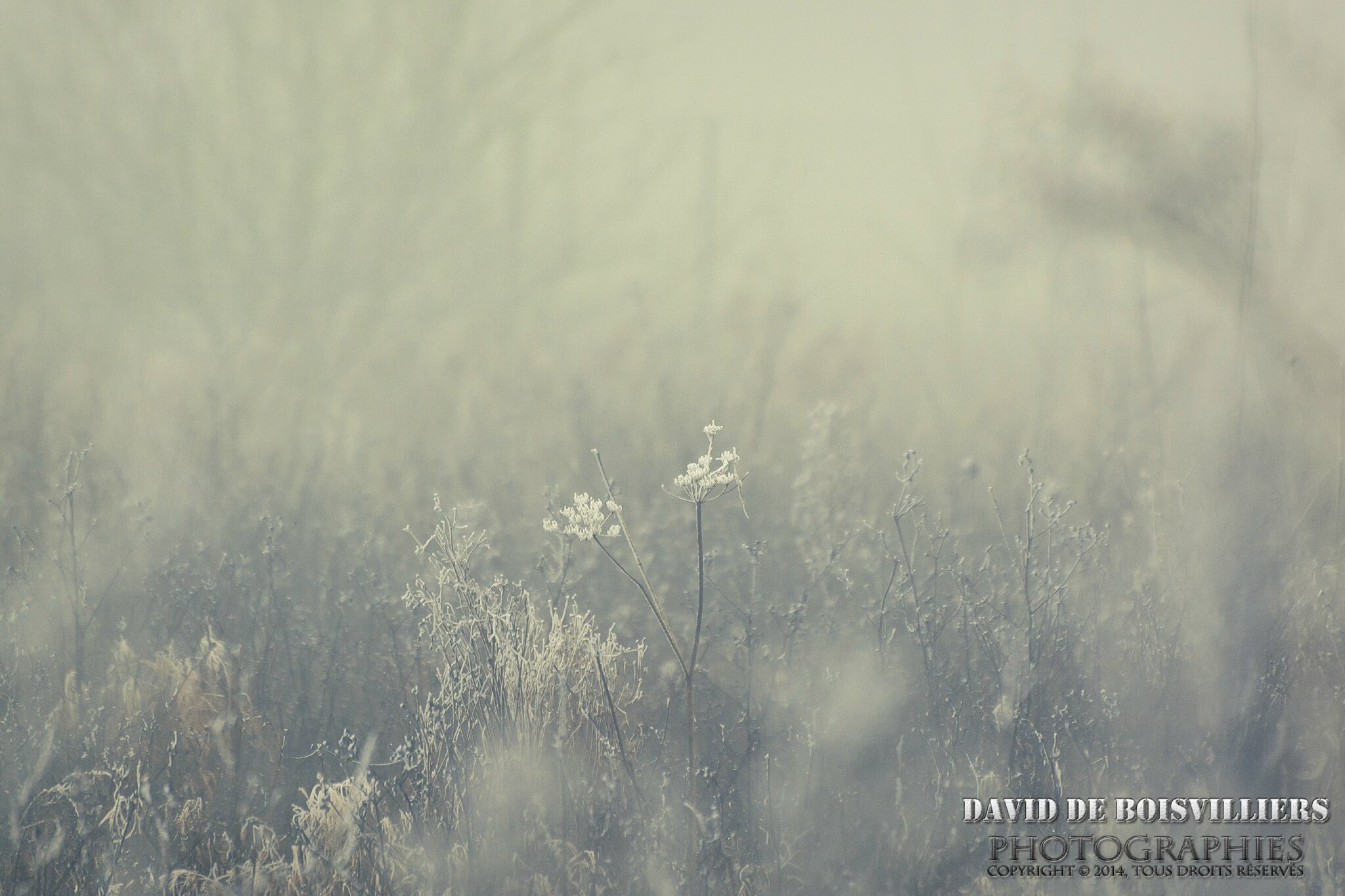 Ambiance hivernale 