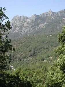 Corsica_2005_054