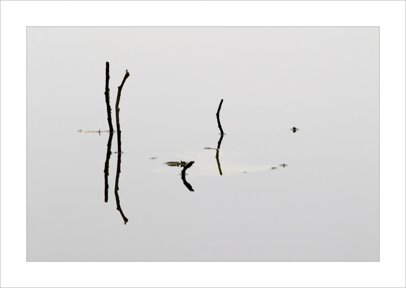 Lignac étang reflet branches vertic 261018