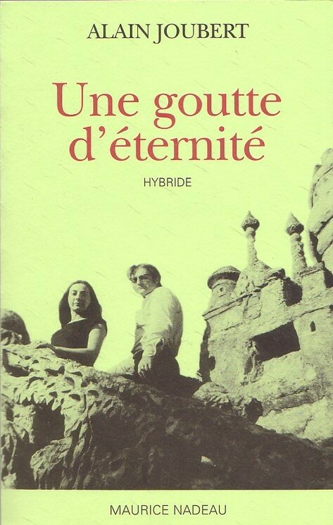 Alain Joubert, Une goutte d'éternité