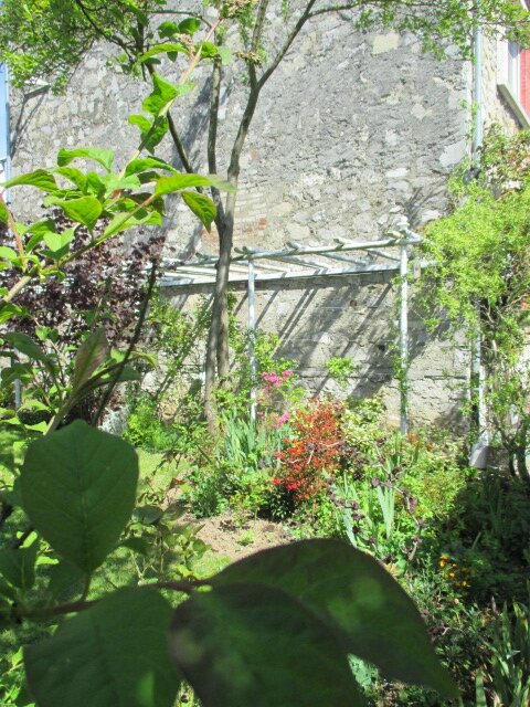 jardin 6 mai2016 096