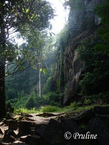 wat_phou