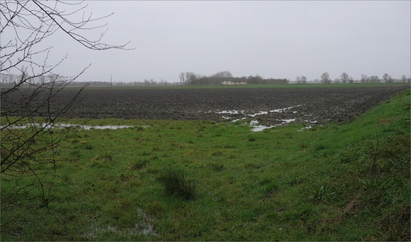 Univ maraich sortie communaux 020220 ym 17