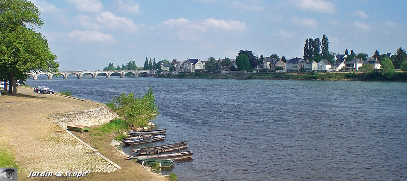 La Loire majestueuse à Saumur