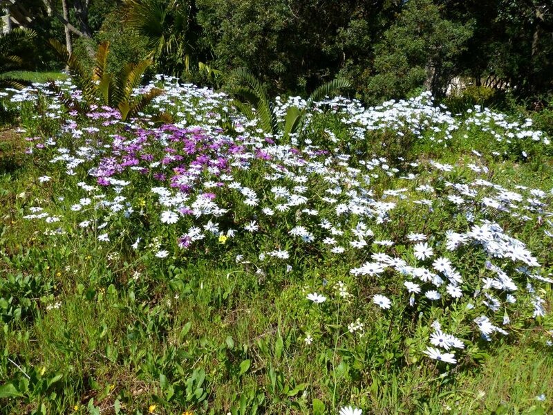 P1200159