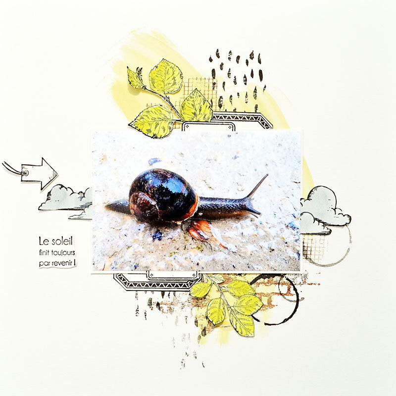 7 - Blogorel
