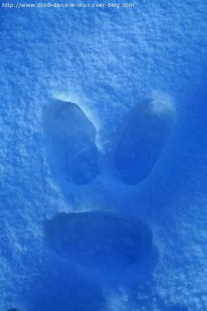 neige14