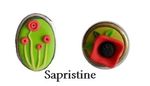 sapristine