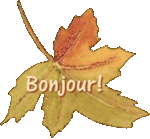 feuille_bonjour