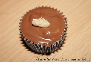 Ptits chocolats noisette, amande, noix de pécan ou céréales recettes dessert Ptits chocolats noisette, amande, noix de pécan ou céréales