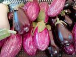 aubergines
