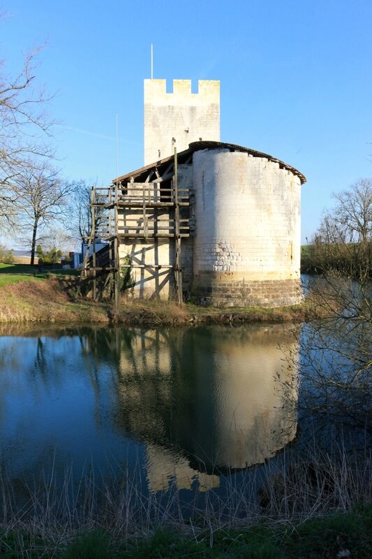 IMG_1955 - Copie