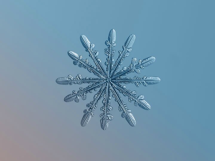 alexey-sublime-les-details-des-flocons-de-neige-a-travers-de-magnifiques-photographie-macro49