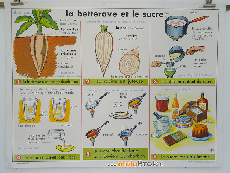 Affiche-MDI-BETTERAVE-SUCRE-1-muluBrok-Vintage