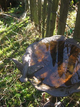 7_mars_2011_004