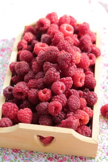 framboises_du_jardin1