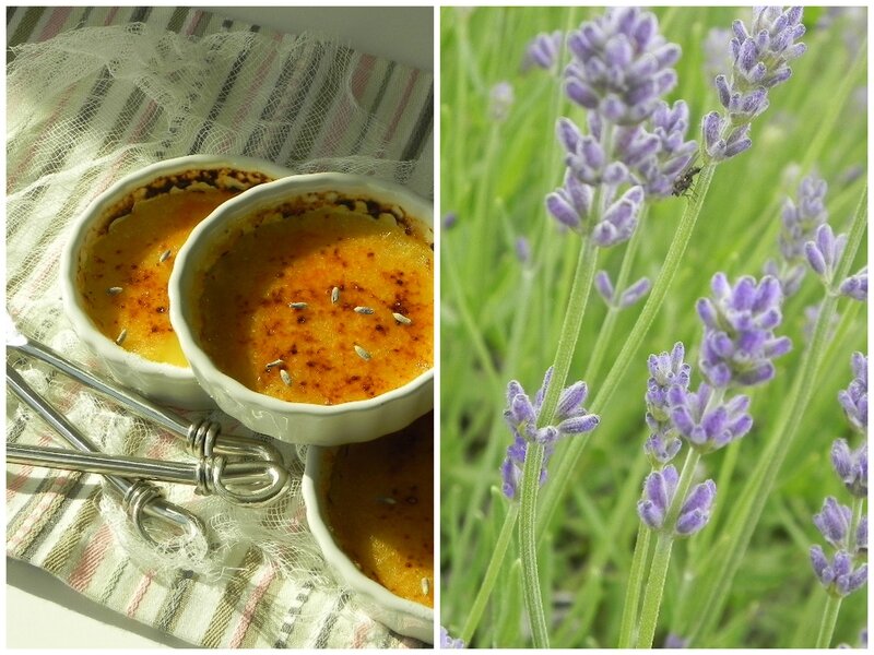 CREME_BRULEE_LAVANDE_2