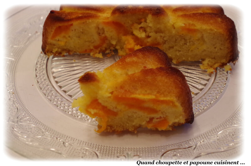 gâteau à l'abricot-0284