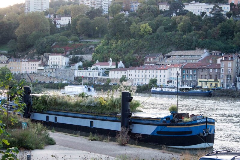 Lyon-1