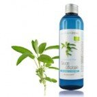 catalogue_hy_sauge-officinale