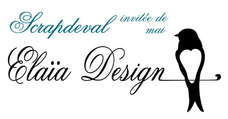 logo_scrapdeval