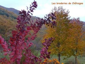 Automne