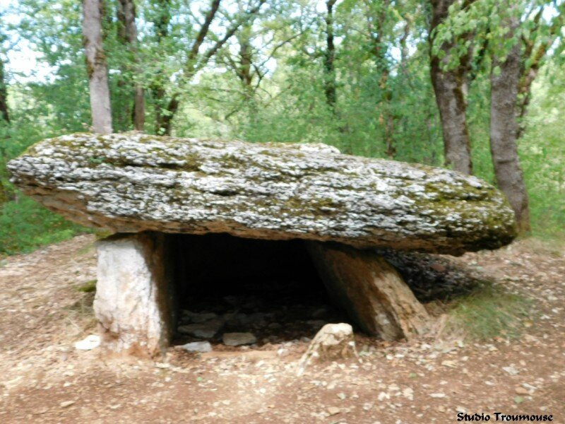 dolmen du bois del rey 2 [800x600]