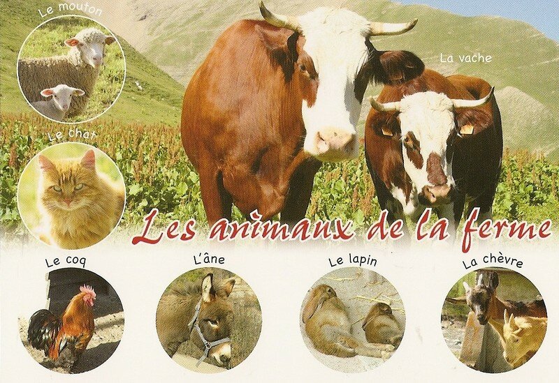 Vive la ferme !