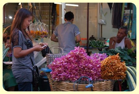 Thailande_926_border