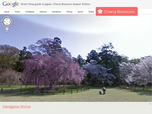 Google_Street_View_Sakura