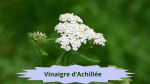 37 ACHILLEE MILLEFEUILLE(1)Vinaigre d'Achillée