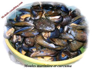 moulamarinières