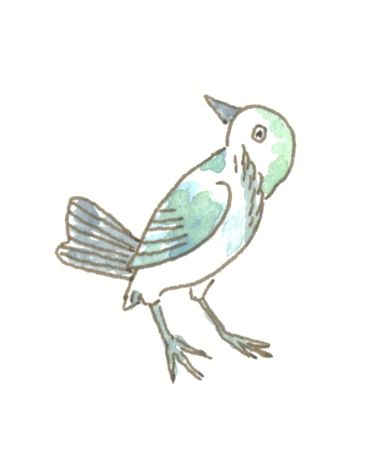 oiseau1