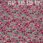 Peal and bud rose