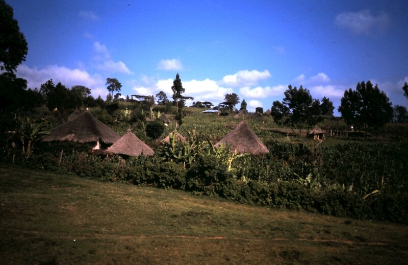 nord kenya xx