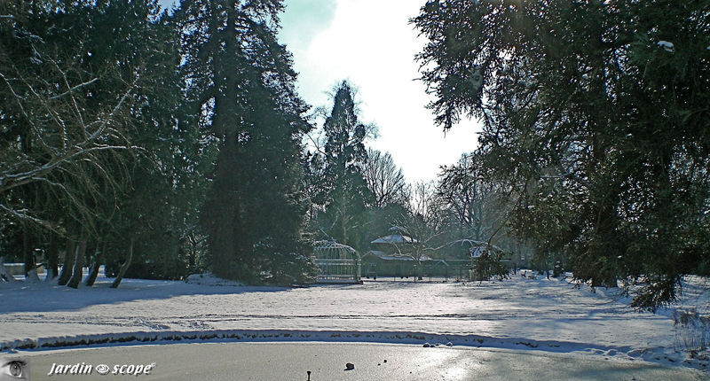 Jardin paisible sous son blanc manteau en ce début janvier