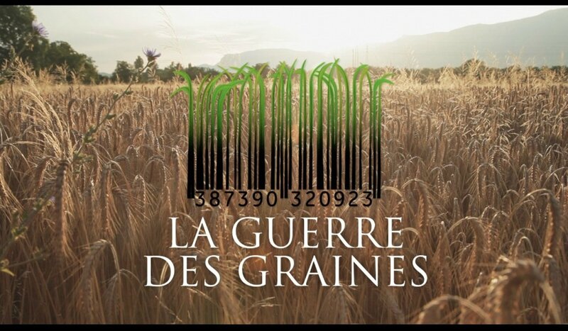 Guerre-des-Graines-Officiel-15-1024x598