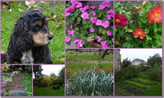 jardin 27 octobre 20195