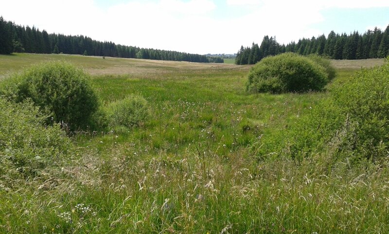20160709_135502