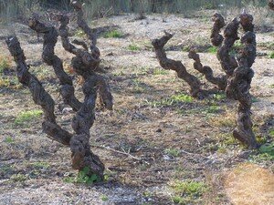 11janvier07_014