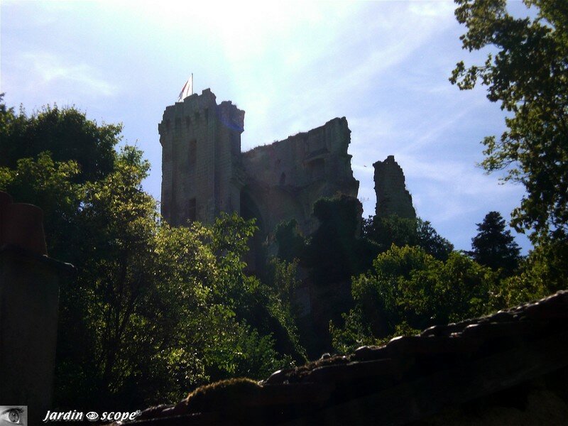 Le château de Lavardin