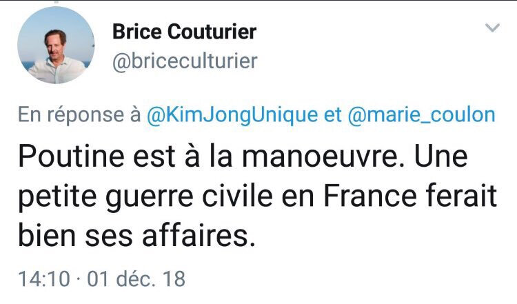 BriceCouturierComplotismeGiletsJaunes