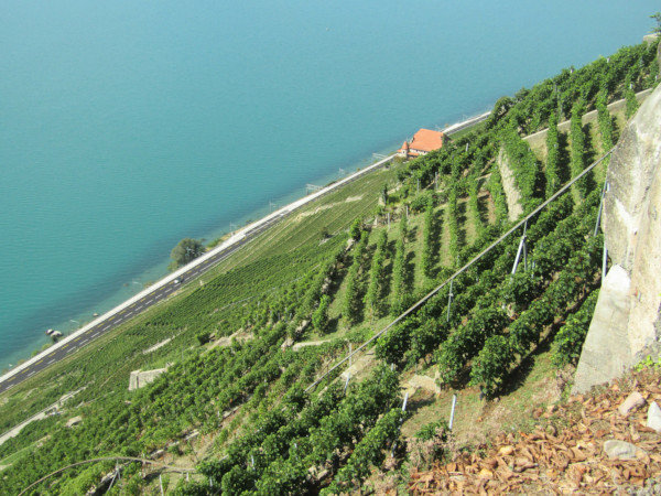 Lavaux 3